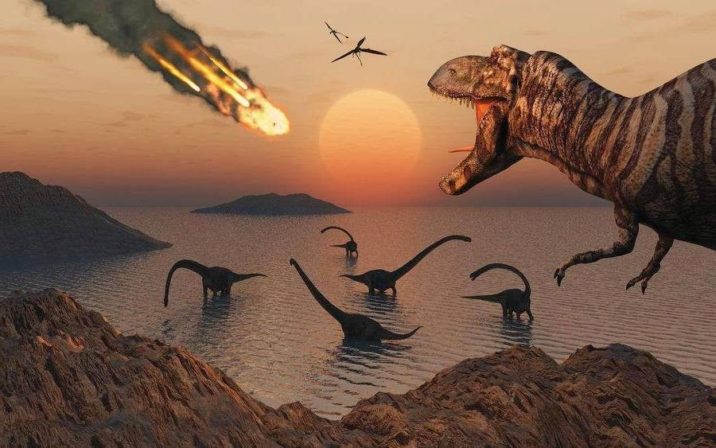 7 фактов о динозаврах