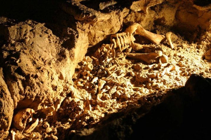 7Фактов о пещере скелетов в Таиланде